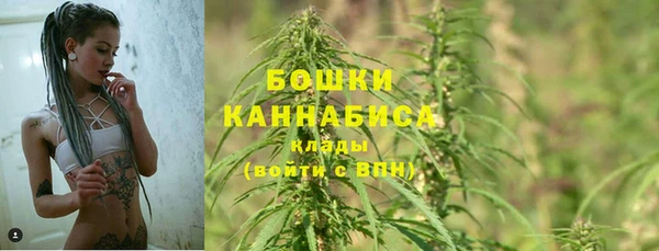 стаф Вязники