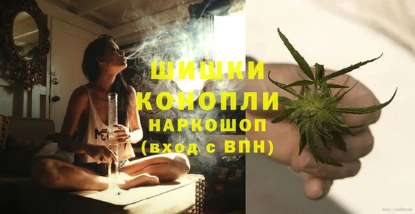 гашик Вязьма