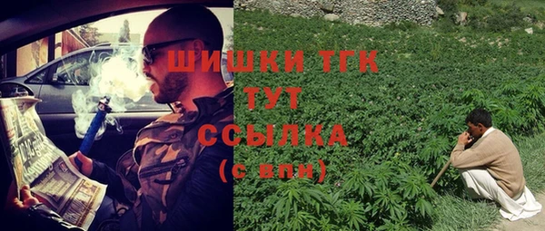 стаф Вязники