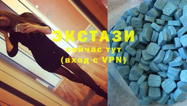 гашик Вязьма