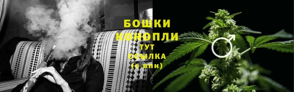 гашик Вязьма