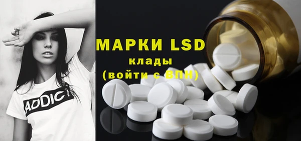 стаф Вязники