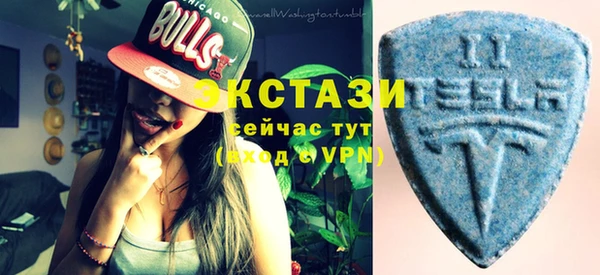 гашик Вязьма