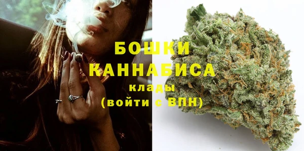 стаф Вязники