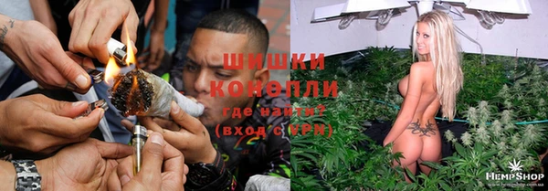 гашик Вязьма