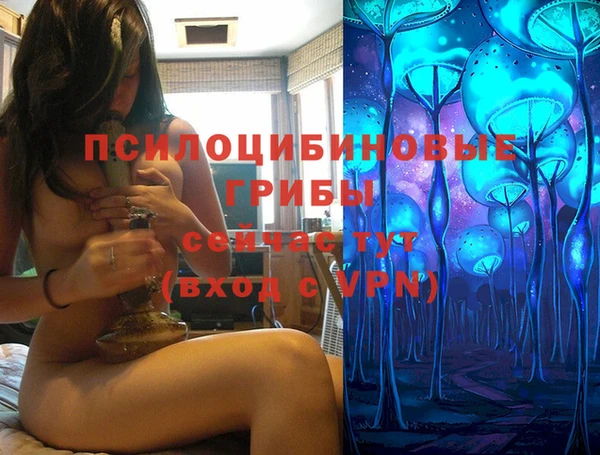 mdma Вяземский