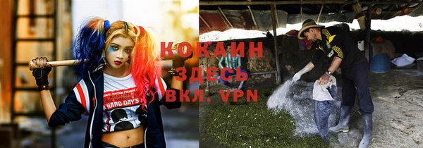 стаф Вязники
