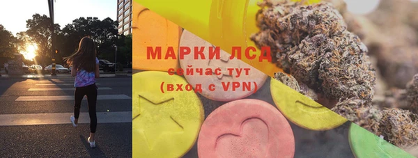 гашик Вязьма