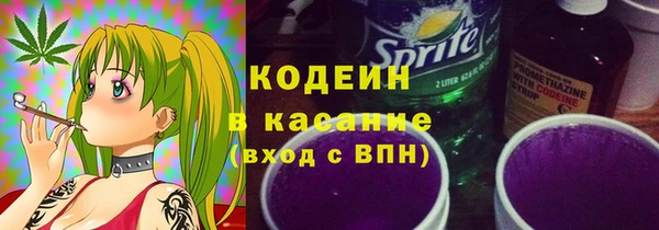 гашик Вязьма