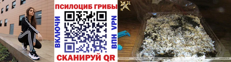 Купить  Хабаровск  Галлюциногенные грибы ЛСД 