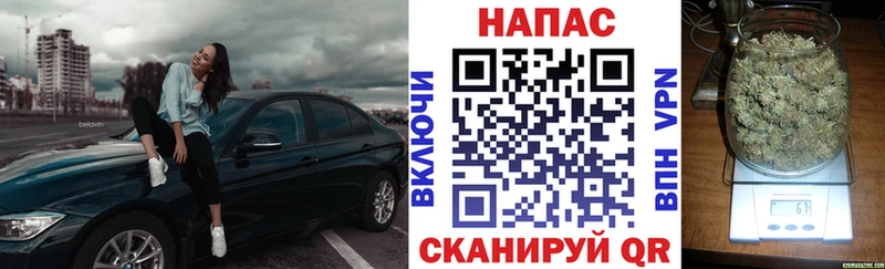 Конопля сатива Купить где Хабаровск